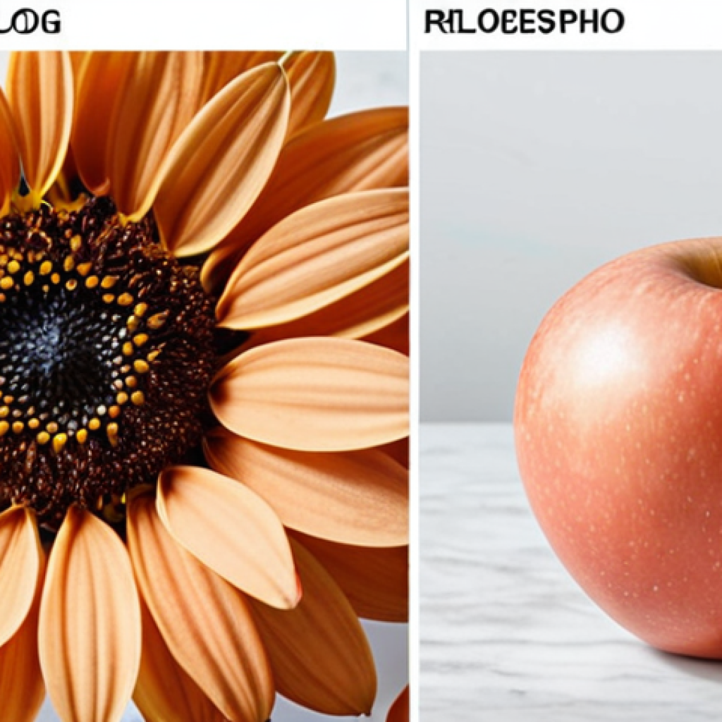 Here are two image prompts for Stable Diffusion, based on the provided text:
